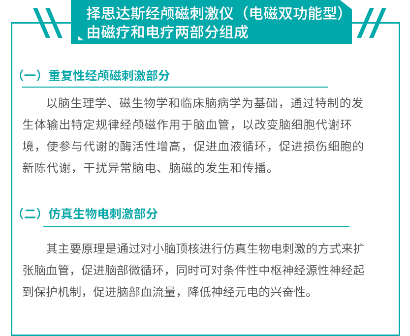 经颅磁刺激仪（电磁双功能型）组成部分